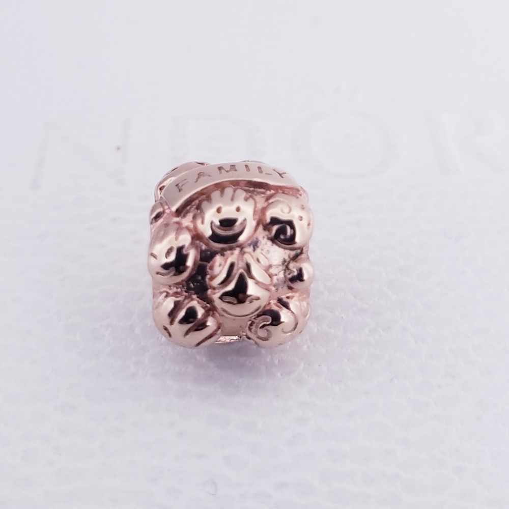 👨‍👩‍👧‍👦 Authentic Pandora ROSE FAMILY CHARM - Picture 7 of 7